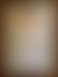 Турнір з шахів "Біла тура"