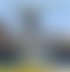 Всеукраїнський конкурс творчих робіт «Національно-патріотичне становлення молоді»