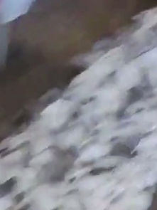 Всесвітній день волонтера