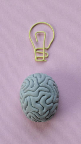A model brain on a pink background, with a wire light bulb model above it.