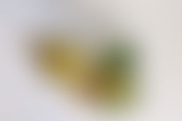 3 Immune-Boosting Tonics to Support You Through the Colder Months (and beyond) 🍋