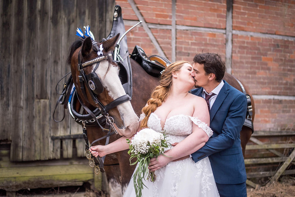 Oakwood-Clydesdales-weddings.jpg