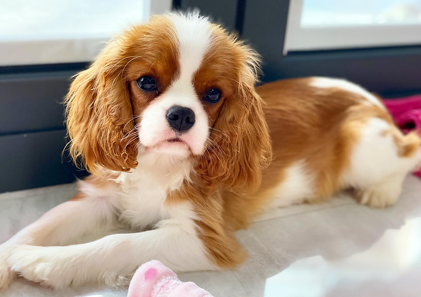 86802376_10215628229409187_3559203578167