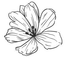 Rachael-Grace Sands Owner & Floral Artist (3_edited_edited_edited_edited_edited.png