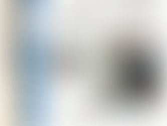 11.12.2020 “诱惑杀技术”灭蚊系统