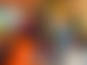 8.02.2021 分派援助物资予火灾灾民