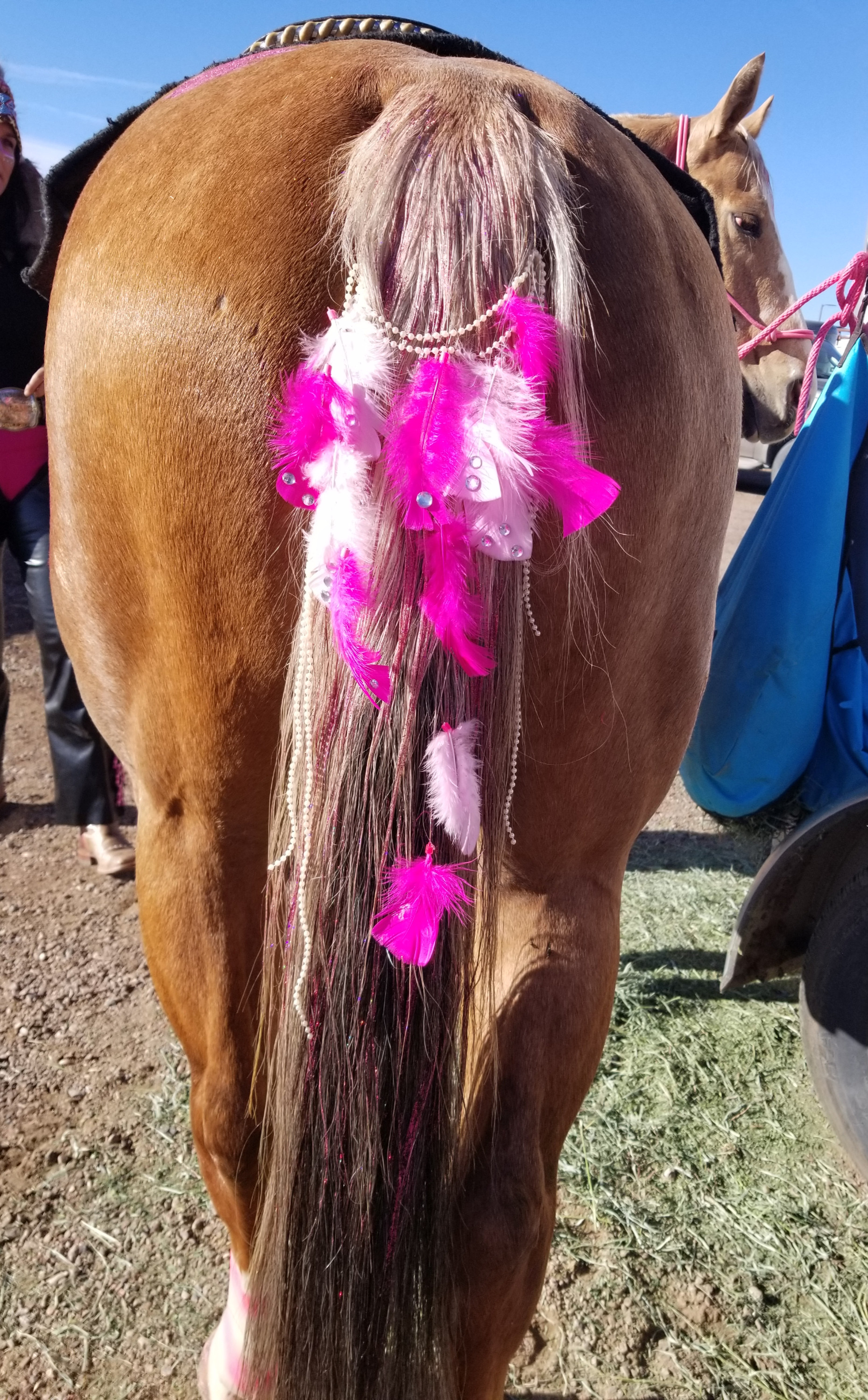 Custom Tail Feather Extensions