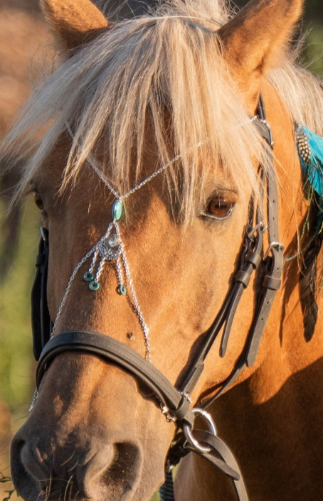 Custom Bridle Jewelry