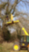 Tree work