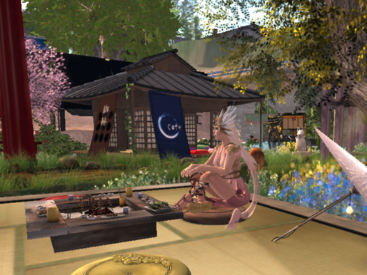 [virtual worlds & Education] Second Life Comparative Field Note #2