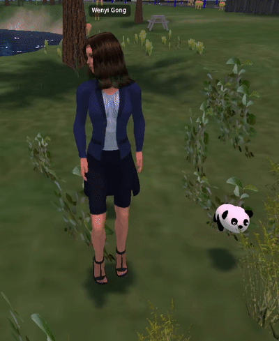 adopted a panda.gif