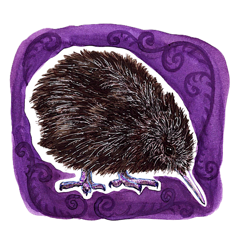 Illustration eines flauschigen Kiwis in einem lila verzierten Rahmen.