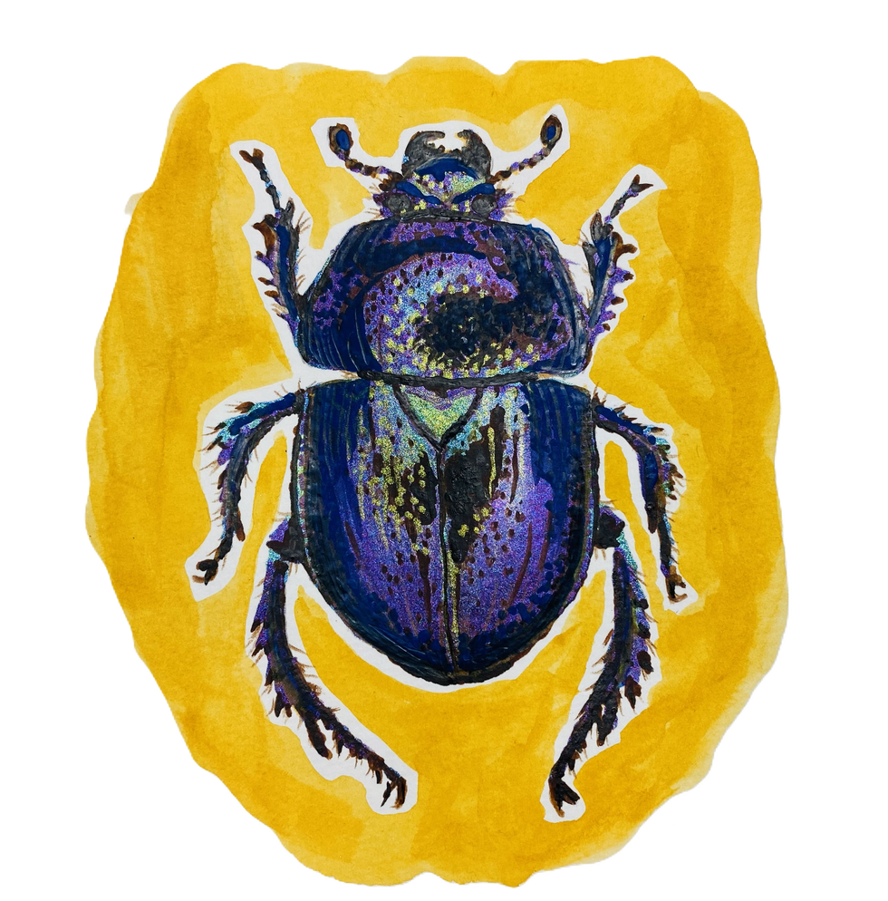 Detailed watercolor painting of a vibrant iridescent beetle