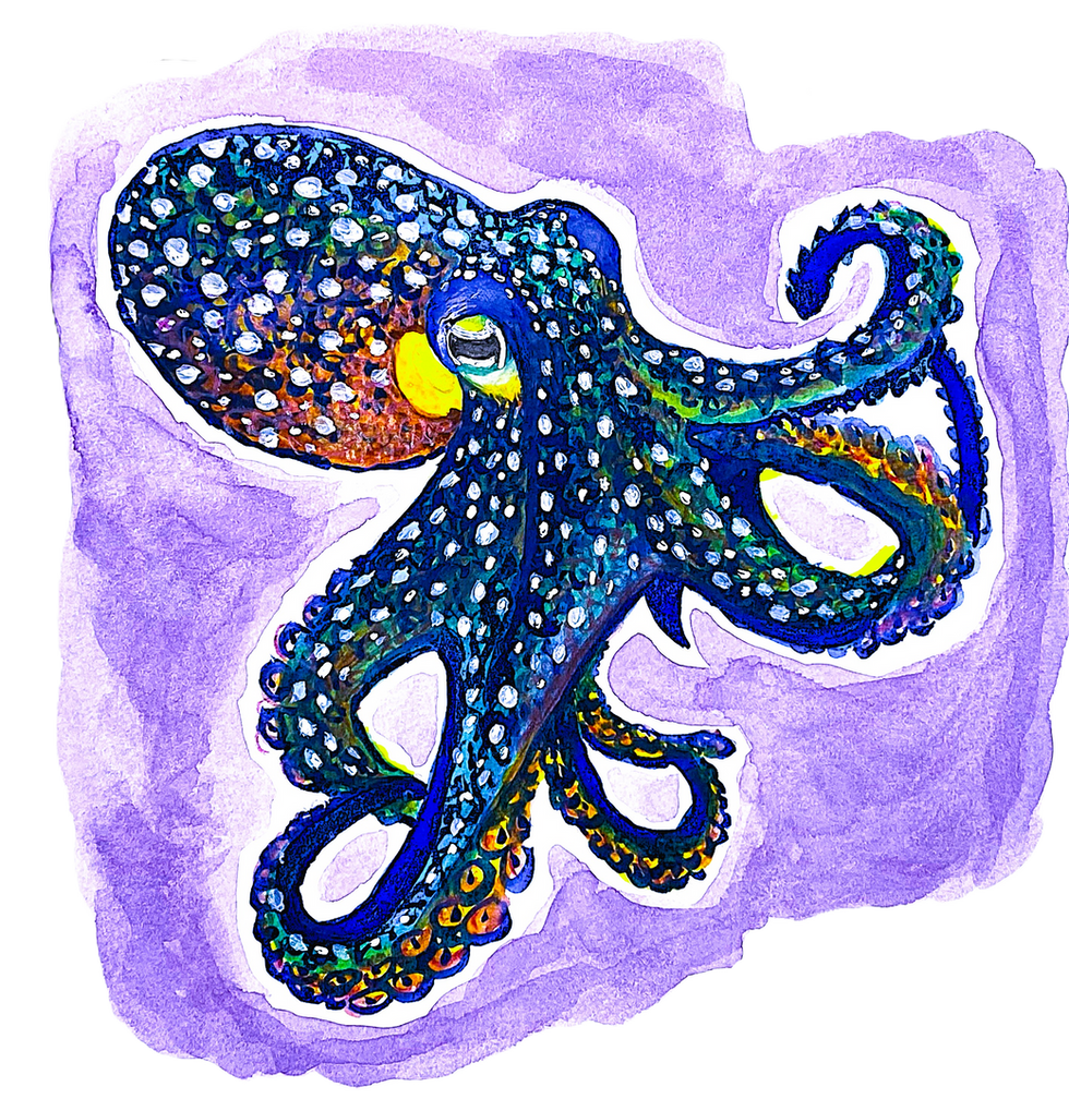 Spectacular iridescent octopus artwork