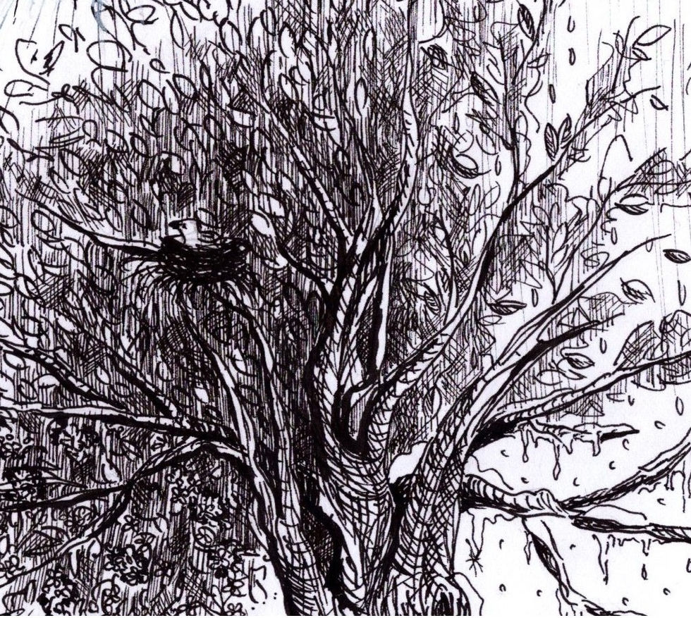 Intricate ink drawing of a lush tree