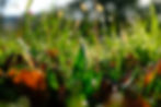 A111FA70-061E-46AE-A691-3FF89436E02C.jpeg