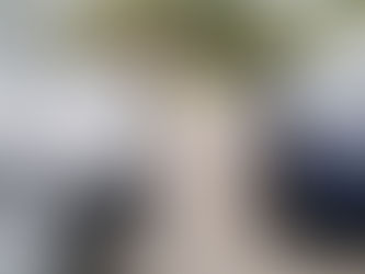 Row of parked used cars at a dealership lot with various models lined up outdoors.