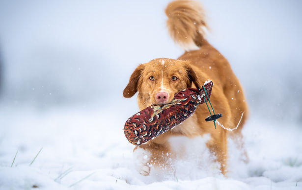 DSC_1098 2_edited.jpg