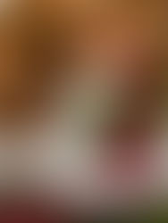 Holiday Weddings at the Empress Estate!