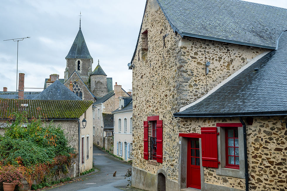 Saint-Denis-d'Anjou - ©Sébastien Gaudard (46).JPG