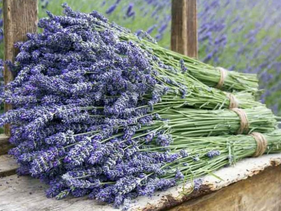 Prepare Now for Next Season - Caring for your Winter Wardrobe