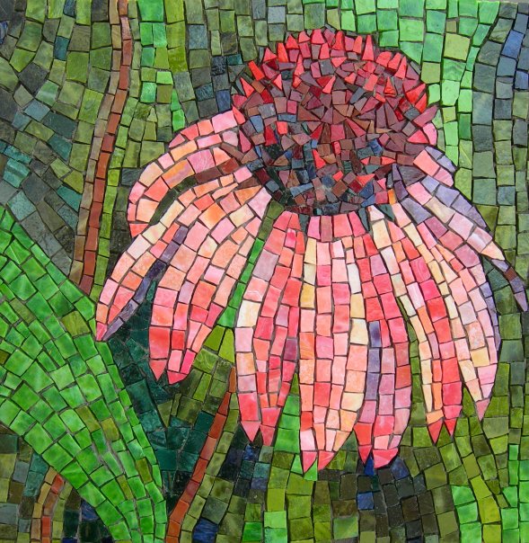 "Cuernavacan Coneflower"