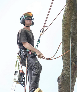 Screen Shot 2024-08-15 at 2.04.24 PM.png