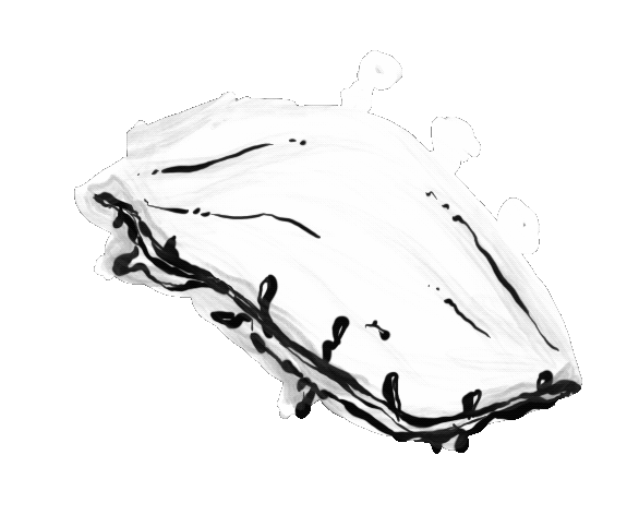 eye final 2.gif