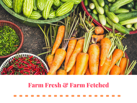 Food Economy, Food Value and the importance of locally produced food