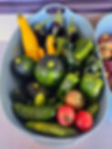 FoodRoots_Garden-produce.jpg