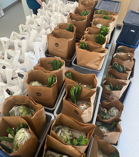 HeadStart_bags.jpg