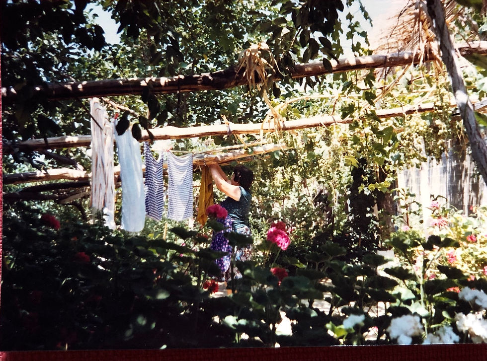 Στην αυλή της κυρίας Χαρίκλειας