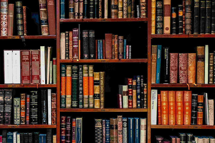 legal books (1) (1) (1).jpeg