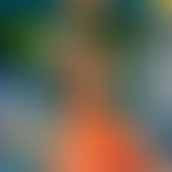 I WANTED TO PAINT OVER THE CANVAS AND START FROM THE BEGINNING BUT I DIDN'T...