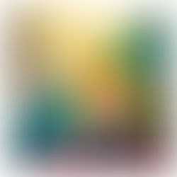 EXCERPTS FROM THE DREAM JOURNAL