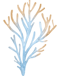 Site Items (30).png
