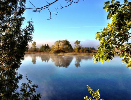 Island-park-sun-Amy-Lijewski.jpeg