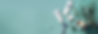 IMG_1440-min.PNG