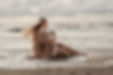 stefs.stories-32.jpg