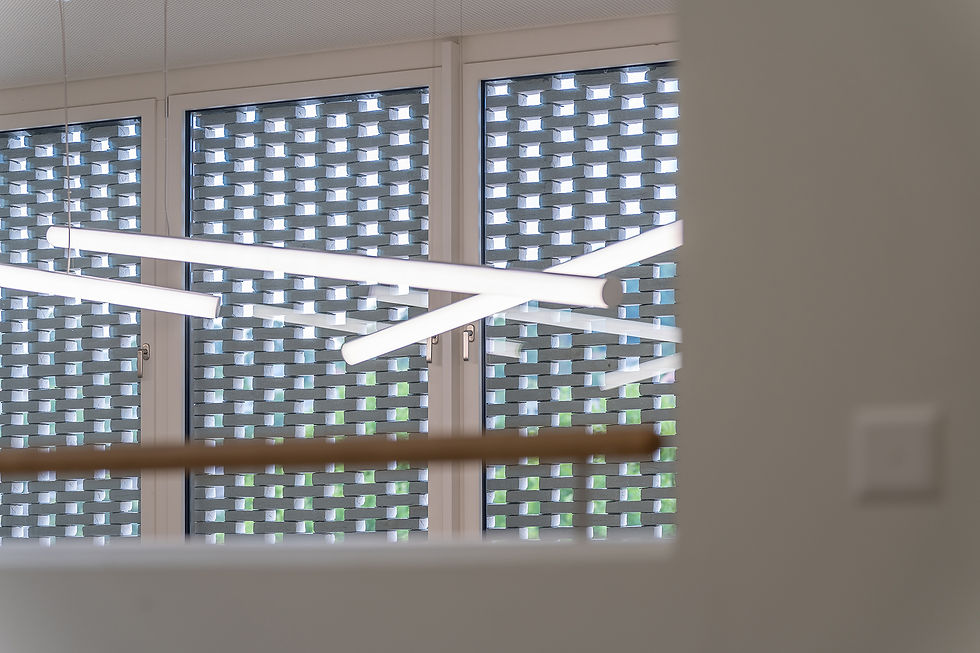 Eye-level view of the Sek Loachacker Reinach interior bathed in daylight