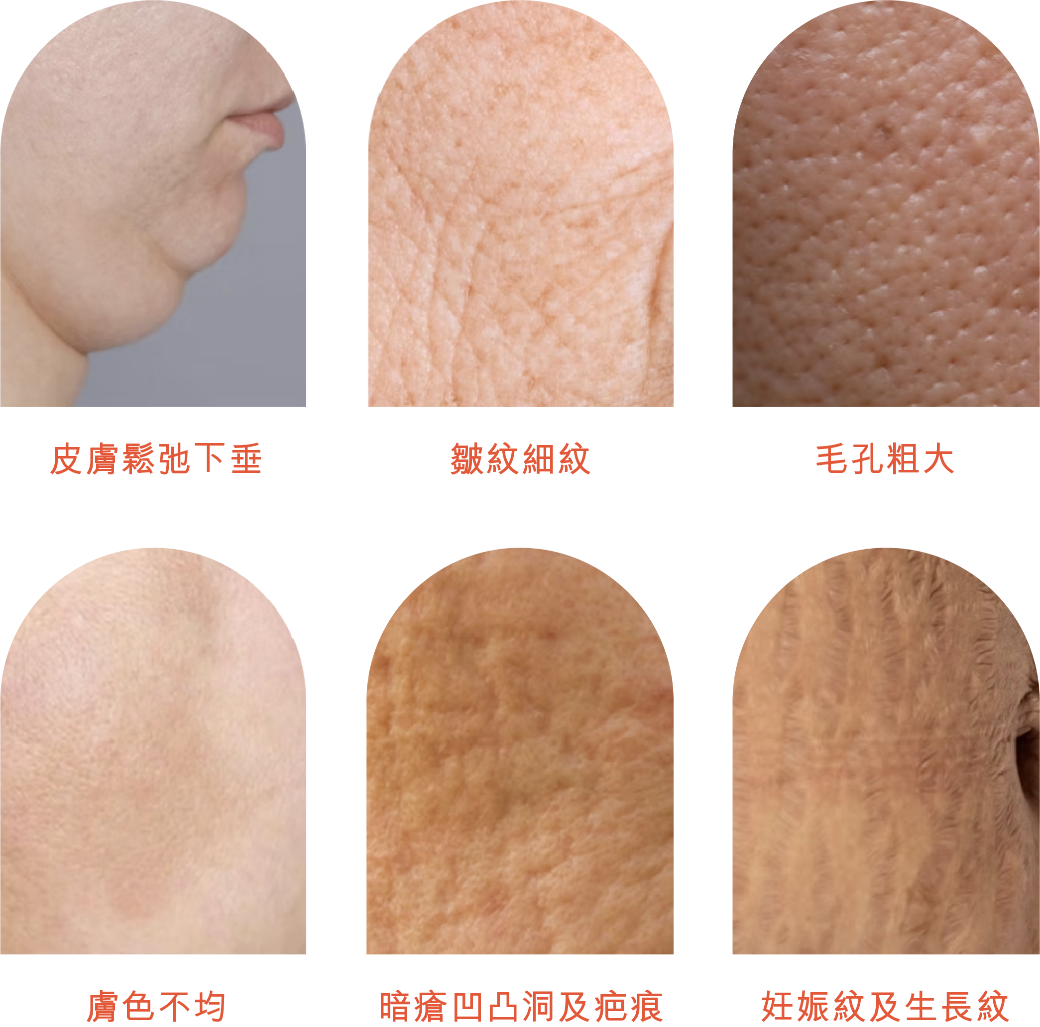 6 icon 2.png