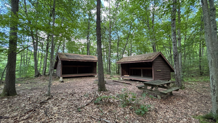 Lions Cabin.JPEG