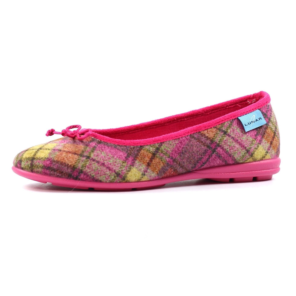 Thumbnail: Lunar Brie Slipper