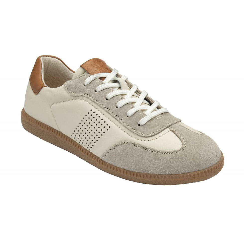 Lotus Frapporta Leather Trainers