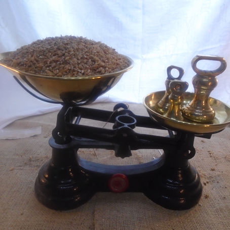 Storing Homebrew Ingredients