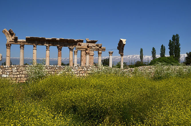 Líbano_blog_9_Baalbek (8).jpg