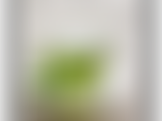 Best Supplements for Weight Loss Support: A Simple Guide