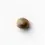 Miniatura: Jack Flash #5 x3 Sensi Seeds