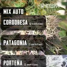 Mix Auto (x6) R-KIEM Seeds