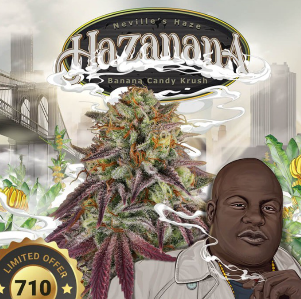 Hazanana (x2) T.H.Seeds
